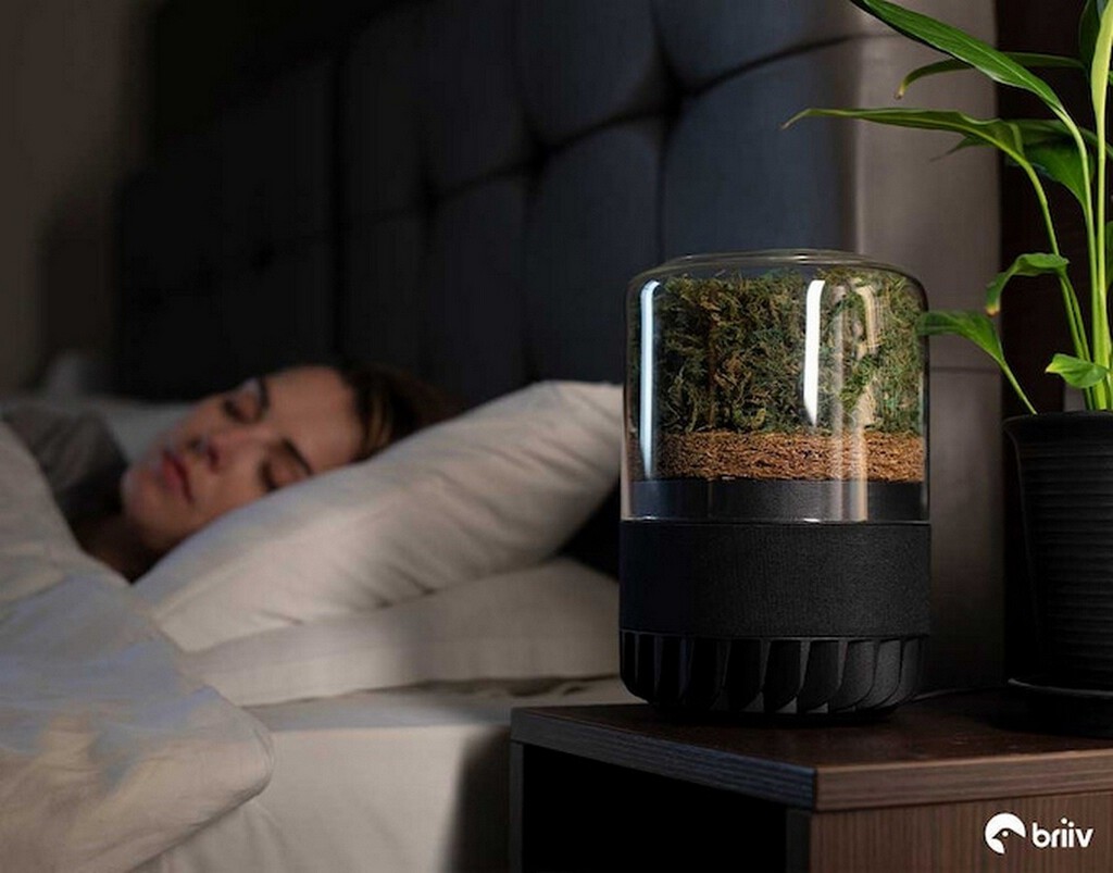 Este purificador con IA usa musgo, coco y carbón para filtrar el aire dentro de casa: promete ser más ecológico y gastar solo 5 vatios 