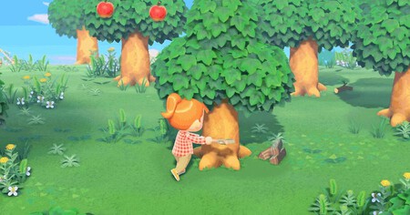 Animal Crossing