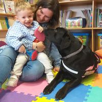 Abril, una labrador retriever, nos descubre cómo la pedagogía terapéutica con perros ayuda a niños y mayores