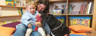 Abril, una labrador retriever, nos descubre cómo la pedagogía terapéutica con perros ayuda a niños y mayores