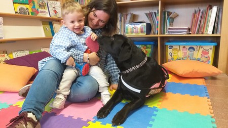 Abril, una labrador retriever, nos descubre cómo la pedagogía terapéutica con perros ayuda a niños y mayores