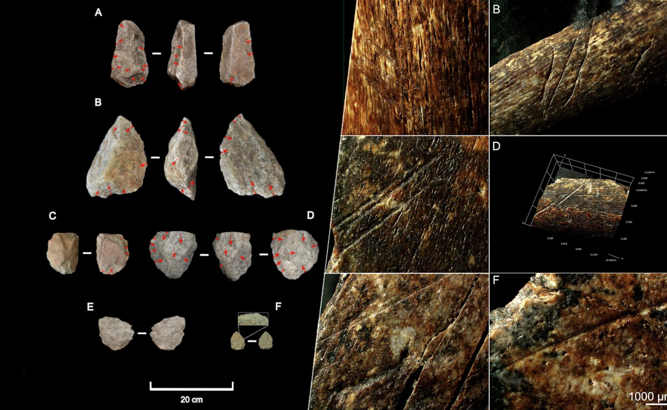 Hace 1,2 millones de años el Homo erectus logró algo que creíamos solo estaba a nuestro alcance: sobrevivir al desierto