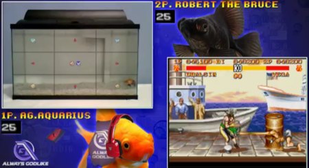 La última moda en Twitch, peces jugando a videojuegos