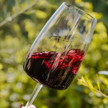 No solo blancos: cinco vinos tintos de Cádiz que ponen en el radar de Tim Atkin y Robert Parker a la tintilla de Rota 