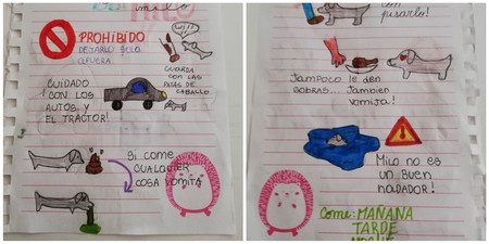 El entrañable y divertido manual de instrucciones que una niña deja a su tía, para que sepa cuidar de su perro en vacaciones