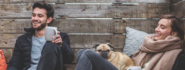 Nueva Ley Animal: ¿puede el casero negarse a alquilar un piso por tener animales? 