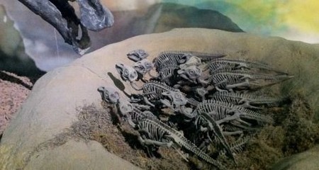 Los dinosaurios también han ido al espacio: éste fue el primer fósil que lo consiguió
