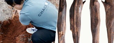 Hemos encontrado herramientas de hace 300.000 años en China. Y ponen patas arriba lo que creíamos sobre la paleodieta 