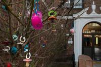Un árbol de los chupetes para un adiós difícil