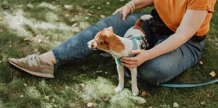Las zapatillas de New Balance que llevan las que más saben de moda son también las más vendidas en Amazon (y están rebajadas hoy)