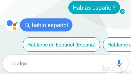 Google Assistant En Allo