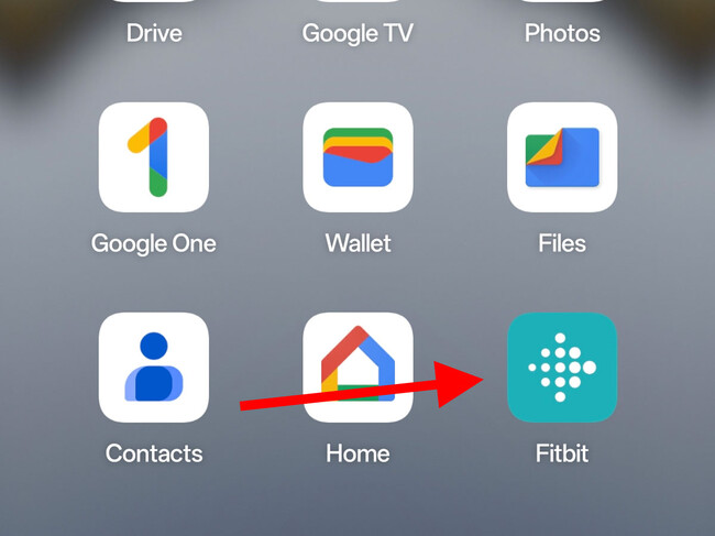 Fitbit