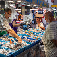 El pescado está viviendo una crisis histórica en España. La gran pregunta es por qué hay pescaderías vendiendo más que nunca