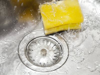 La cosa más sucia de tu casa es la esponja de la cocina