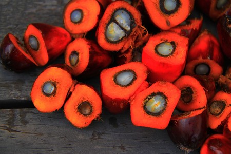 Palm Oil 1022012 1920