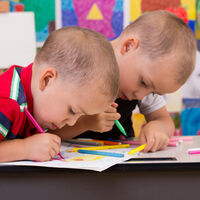 Gemelos y mellizos: ¿juntos o separados en clase?