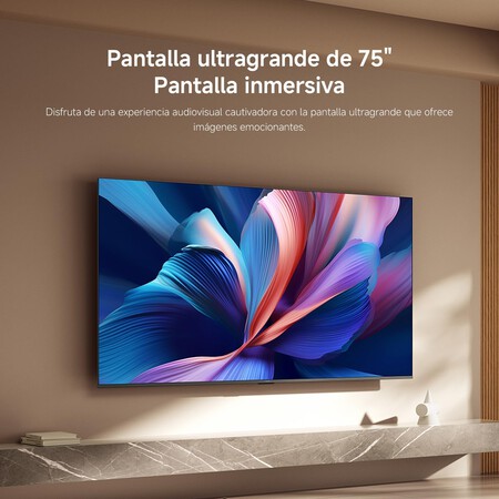 xioami tv