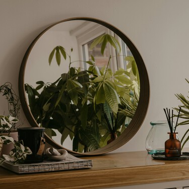 Seis plantas de interior perfectas para ganar iluminación en pisos pequeños con poca luz 