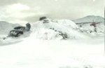 Shadow of the Colossus y su campaña publicitaria