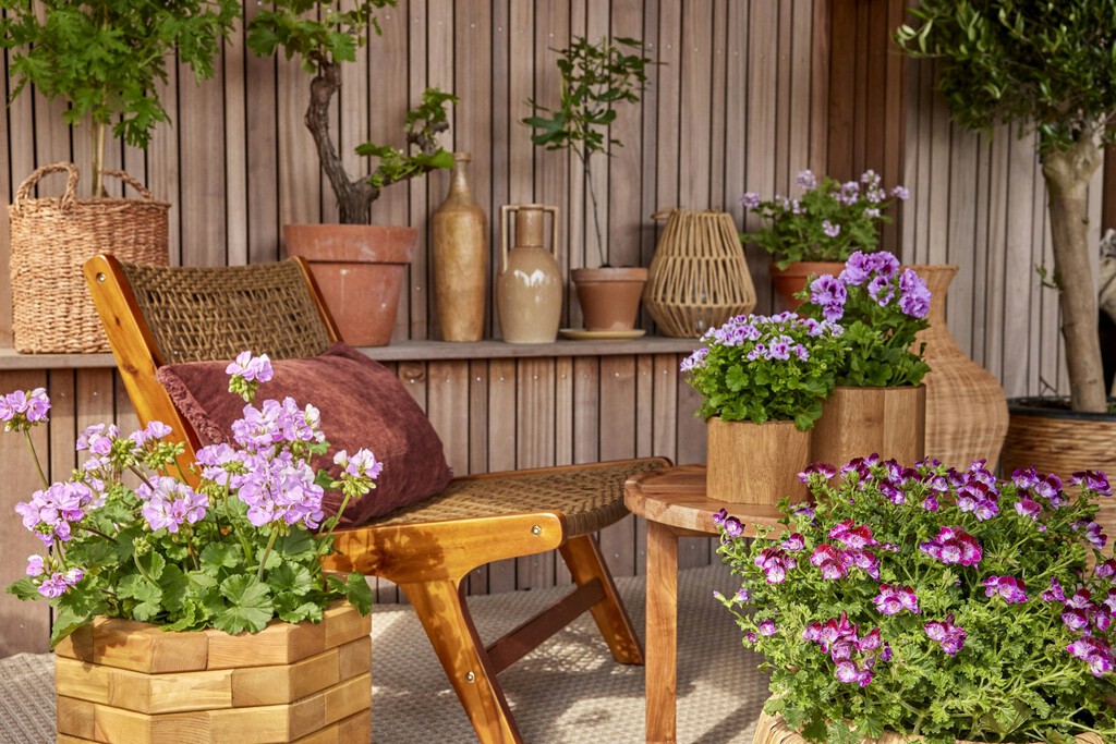 El macetero de Lidl en forma de escalera ideal para plantar tres tipos de flores y aprovechar bien el espacio en el balcón