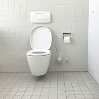 Nos han enseñado que bajar la tapa del váter es lo mejor que  podemos hacer: ahora sabemos que no sirve para (casi) nada