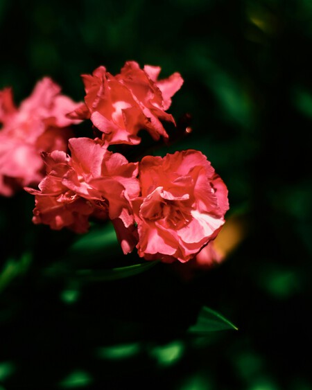 Photo 1590783609655 Bde37dcd7297