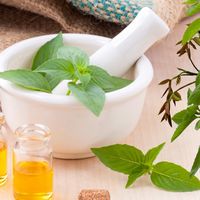 En The Body Shop tenemos un 25% de descuento por tiempo limitado con este código