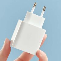 Por qué el mismo modelo de móvil Xiaomi no trae cargador en Europa pero sí en La India