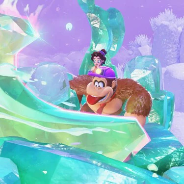 Dk Bananza Expansion