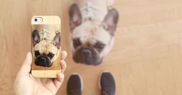 Las fundas para tu iPhone más ecológicas y cool son de Casetify