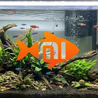 Xiaomi acaba de tocar techo en cuanto a no esperarnos lo que iban a anunciar hoy: presentamos el acuario inteligente Xiaomi