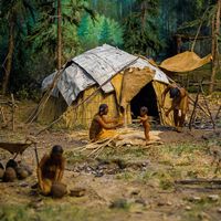 Son nuestras costumbres y hay que respetarlas: las élites españolas llevan 3.200 años practicando el noble arte de la endogamia