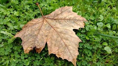 Img 20170110 133453480