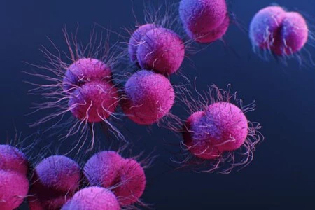 画像:エンパイオ