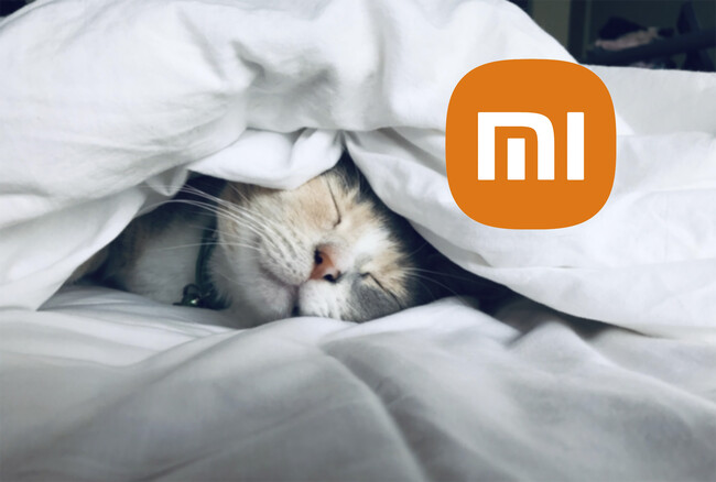 Xiaomi