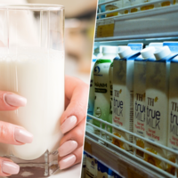 Hemos intentado averiguar si la ciencia prefiere la leche entera, semi o desnatada y nos hemos quedado como estábamos