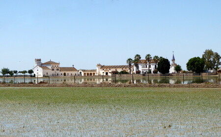desde el río