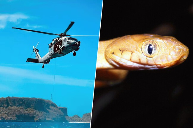 Us Serpiente Guam Xataka
