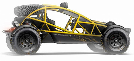 Ariel Nomad