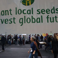 ¿Se está frenando la globalización?