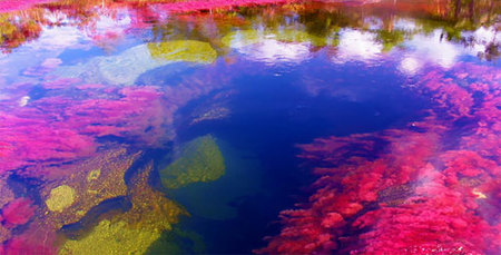 Un río multicolor en Colombia