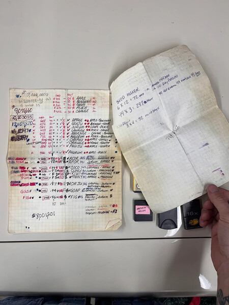 Game Cube Anotaciones