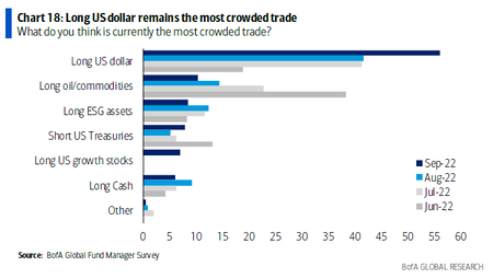 Us Dollar