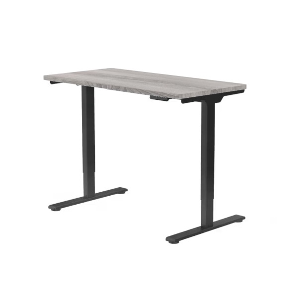 Escritorio elevable Flexispot E1 Pro