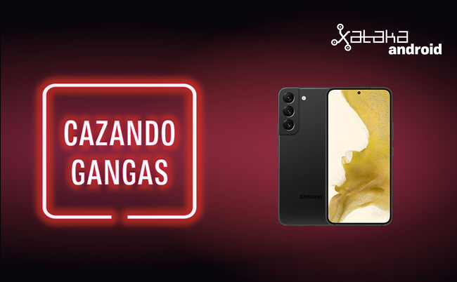 Cazando Gangas