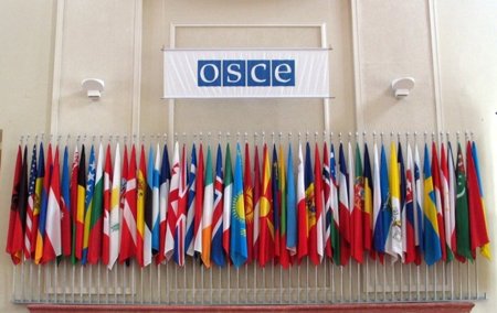La OSCE no logra adoptar una posición común en defensa de las libertades en internet