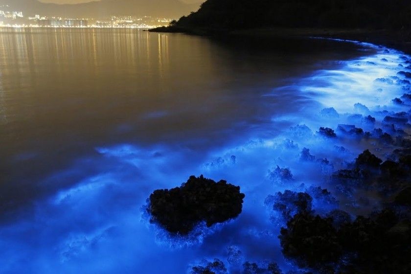 Je suis allée sur l'île d'Holbox, dans l'État de Quintana Roo, pour observer la bioluminescence, et maintenant j'ai envie de visiter d'autres plages du Mexique où ce phénomène se produit.