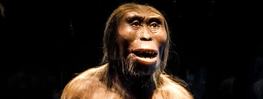 Llevamos 50 años pensando que Lucy es nuestro ancestro más lejano. Un estudio piensa lo contrario 