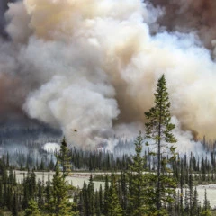 Foto 3 de 4 de la galería environmental-photographer-of-the-year-2016 en Xataka Foto