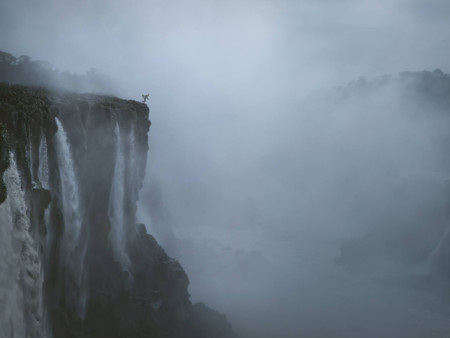 Ricardodacunha 5